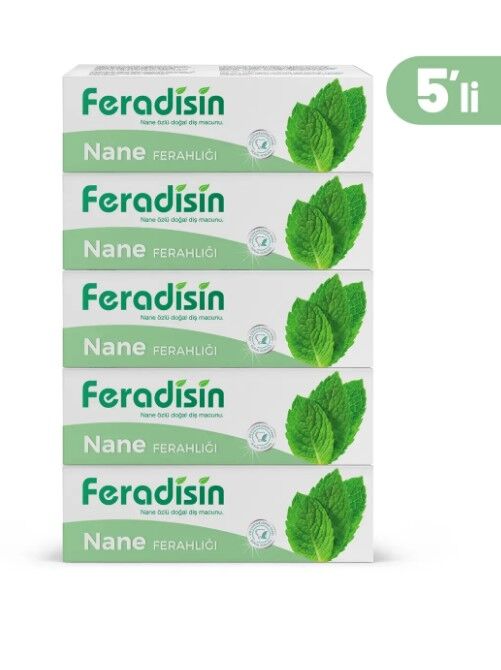 Feradisin Diş Macunu Nane Özlü 5 li Set