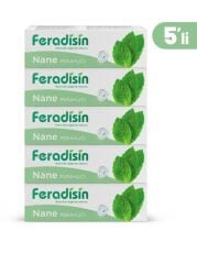 Feradisin Diş Macunu Nane Özlü 5 li Set