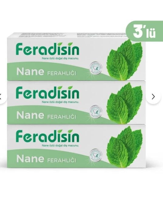 Feradisin Diş Macunu Nane Ferahlığı 90Gr - 3 Adet
