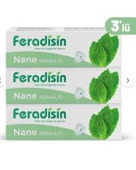 Feradisin Diş Macunu Nane Ferahlığı 90Gr - 3 Adet