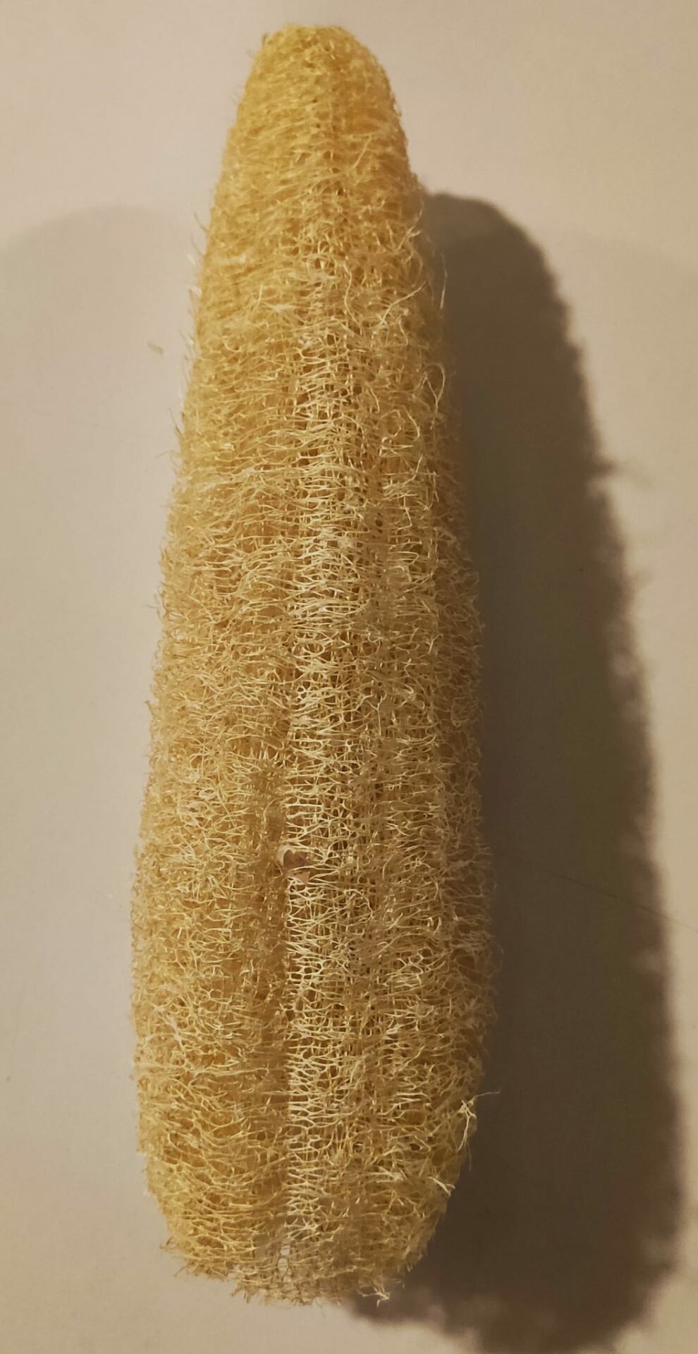 Doğal Kabak Lifi 30-40cm
