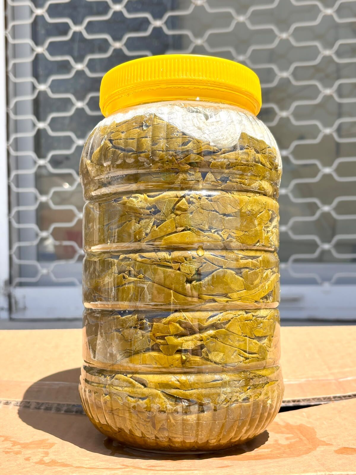 Tokat Erbaa Salamura Yaprağı 3lük bidon