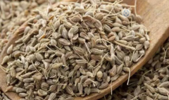 Korkmaz Baharat Anason 100gr