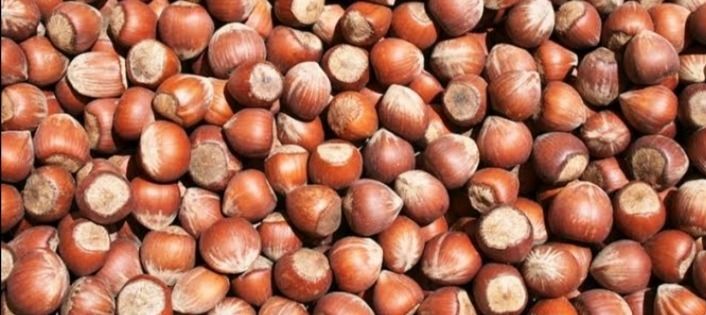 Kabuklu Fındık 500 Gr